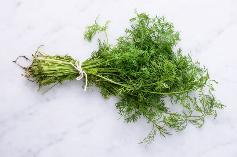 Substitutes for Dill