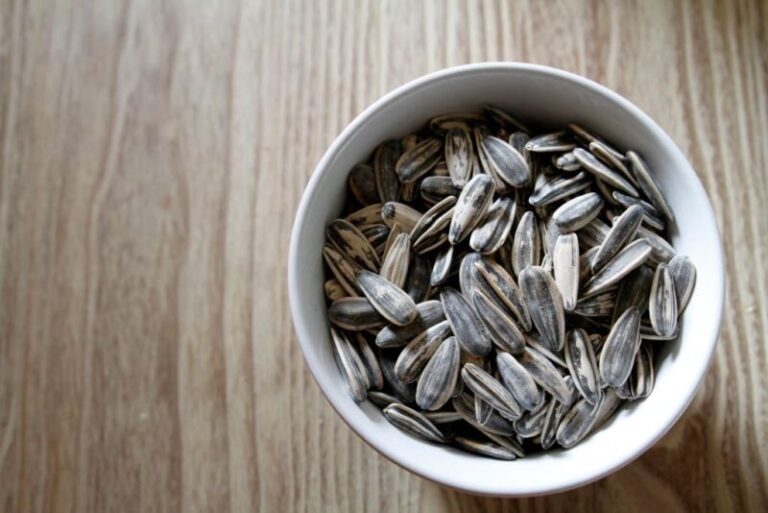 Can You Freeze Sunflower Seeds?