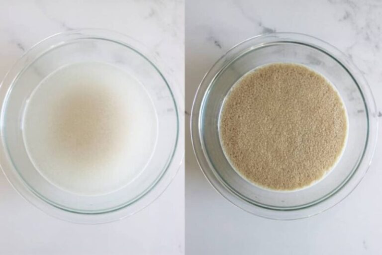What Does Dead Yeast Look Like? How to Tell if Your Yeast is Dead?