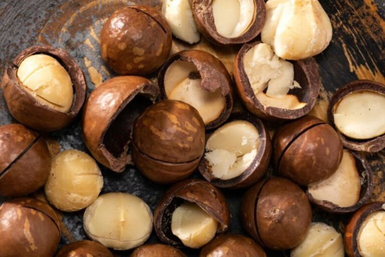 What Does Macadamia Nuts Taste Like?